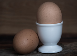Der Tag des Eies gibt Info wie es um das Ei bestellt ist