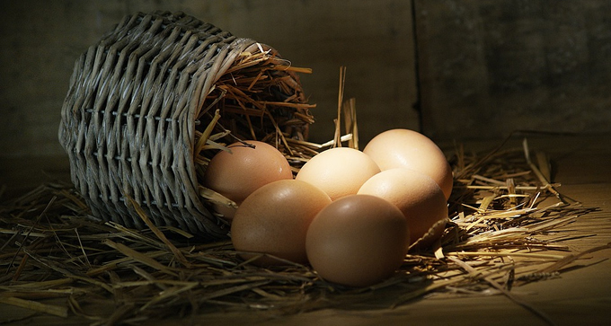 Welt-Ei-Tag jedes Jahr im Oktober